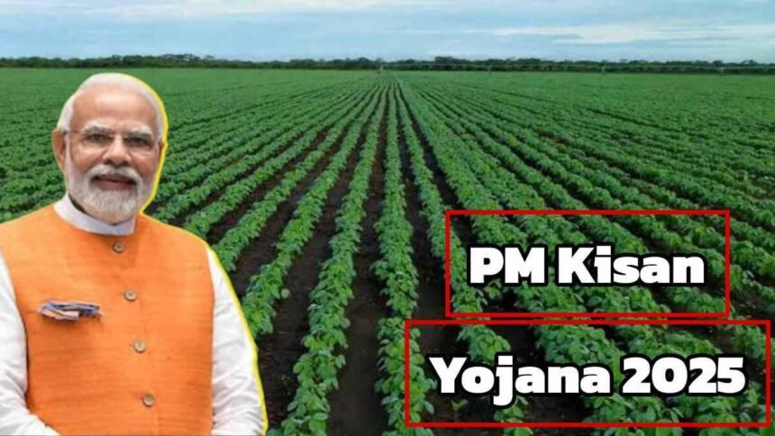 PM Kisan Yojana 2025 Next Installment And Increased Amount