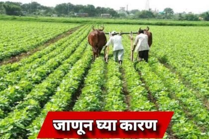 PM Kisan Yojana 19th Installment Ineligible Farmers