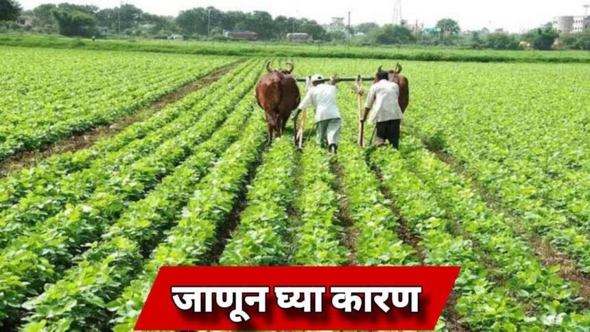 PM Kisan Yojana 19th Installment Ineligible Farmers