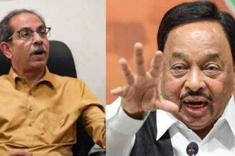 Shiv Sena Ubt Local Elections Narayan Rane Comments